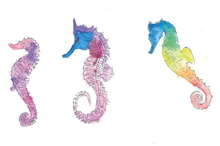 Colorful Seahorses And Maritim Dreams