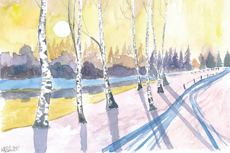 Scandinavian Winter Walk Scene With Snow And Birch Forest