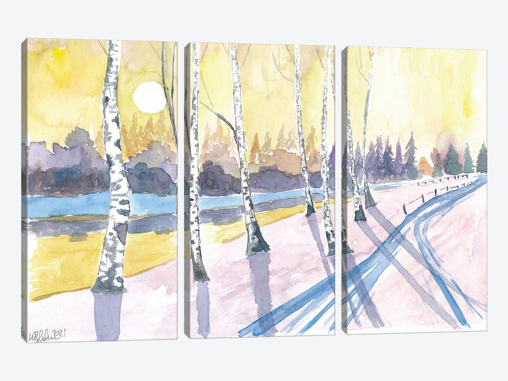 Scandinavian Winter Walk Scene With Snow And Birch Forest by Markus & Martina Bleichner 3-piece Canvas Wall Art