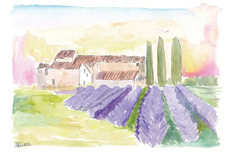 Provence Classical View Of Lavender Fields And Abbey