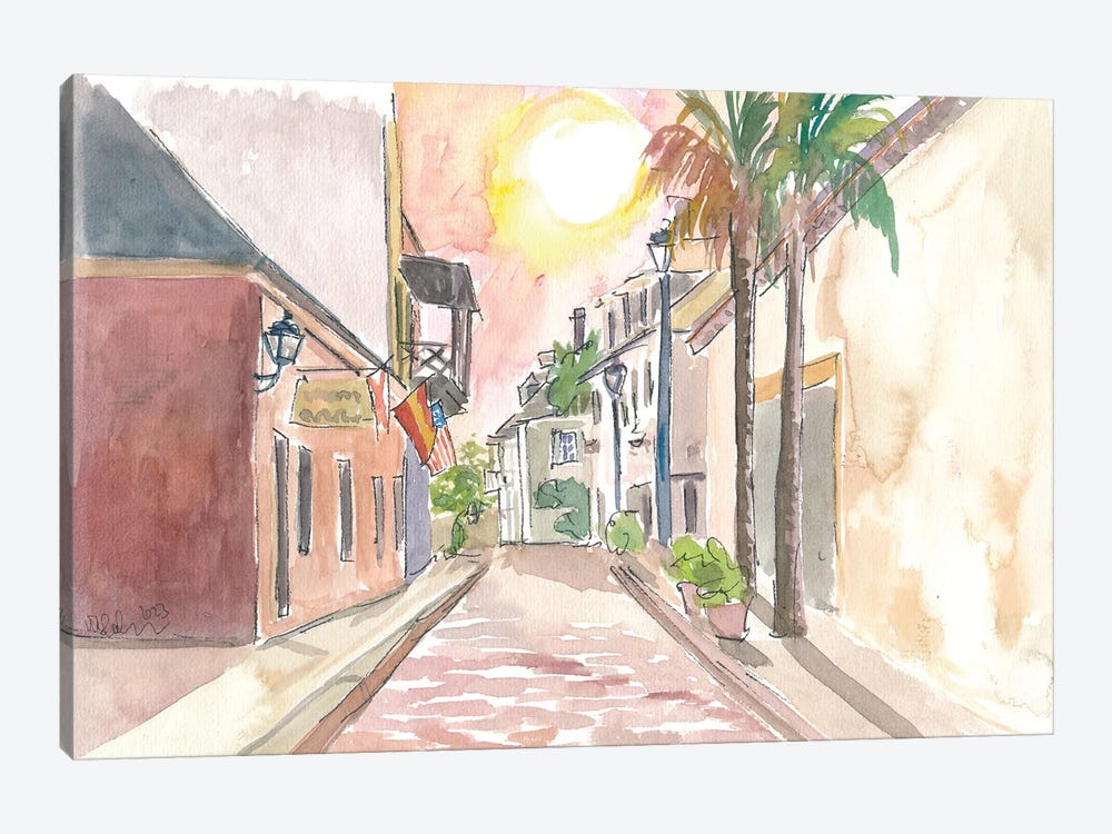 Sunny Street Scene In St. Augustine Florida Usa by Markus & Martina Bleichner 1-piece Art Print