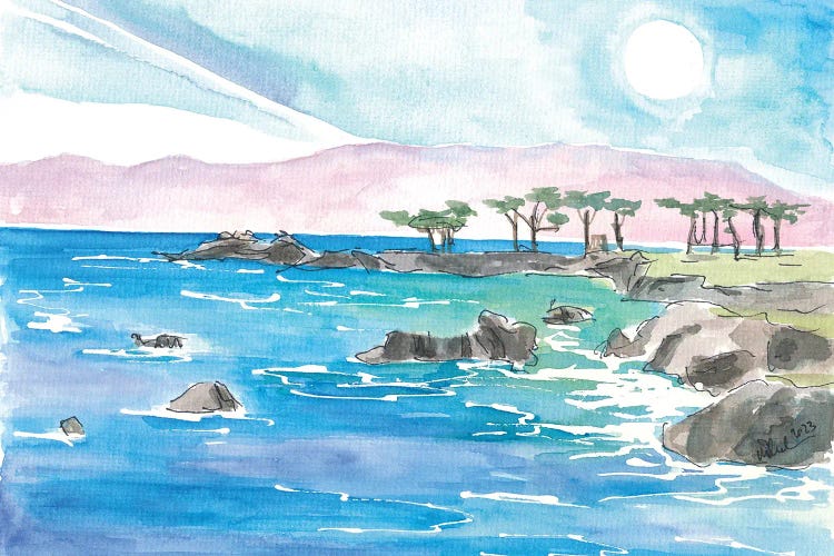 California Pacific Coastal Scene Near Monterey by Markus & Martina Bleichner wall art