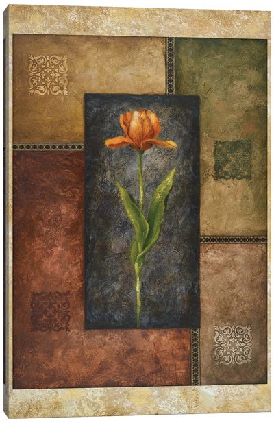 Orange Tulip Canvas Art Print - Michael Marcon