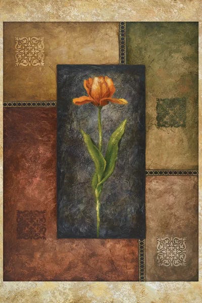 Michael Marcon: Orange Tulip by Michael Marcon