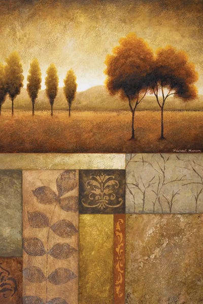 Plainview I by Michael Marcon canvas print