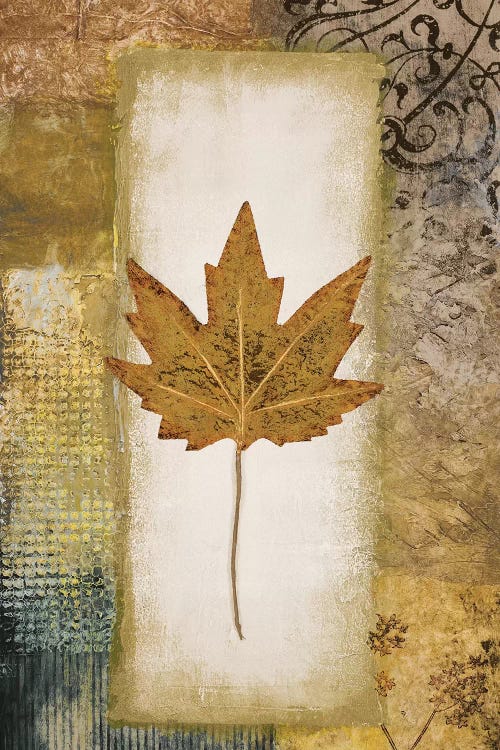 Single Leaf I by Michael Marcon wall art