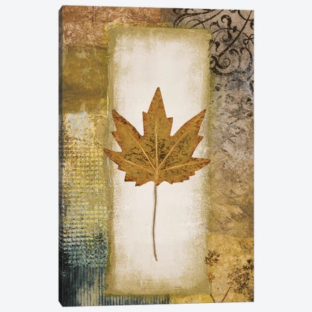 Single Leaf I Canvas Print #MMC125} by Michael Marcon Canvas Art
