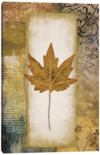 Single Leaf I Canvas Art Print - Michael Marcon