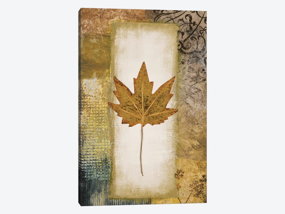 Single Leaf I by Michael Marcon 1-piece Canvas Art Print