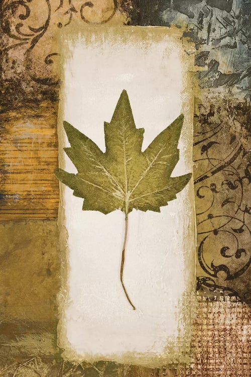 Single Leaf II by Michael Marcon wall art