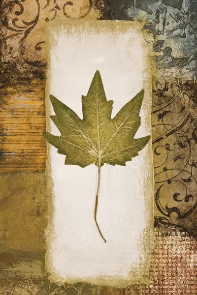 Single Leaf II