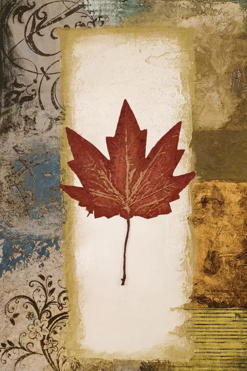 Single Leaf III by Michael Marcon wall art