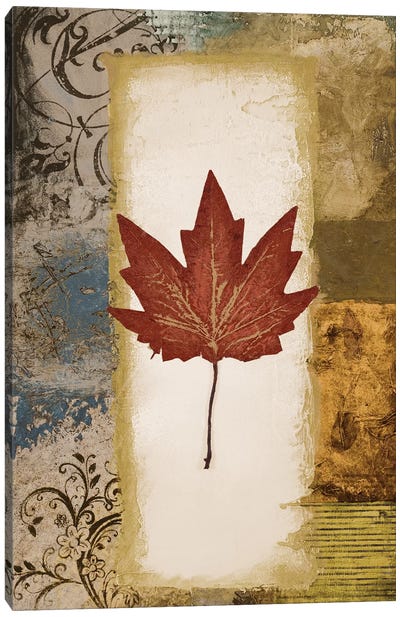Single Leaf III Canvas Art Print - Michael Marcon