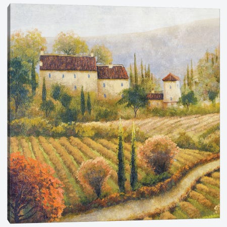 Tuscany Vineyard I Canvas Print #MMC147} by Michael Marcon Canvas Wall Art