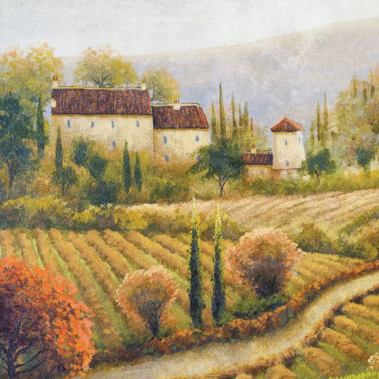 Tuscany Vineyard I by Michael Marcon wall art