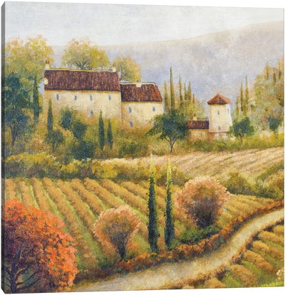 Tuscany Vineyard I Canvas Art Print - Traditional Living Room Art