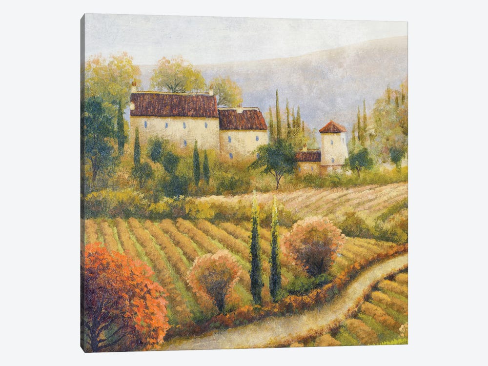 Tuscany Vineyard I by Michael Marcon 1-piece Canvas Print
