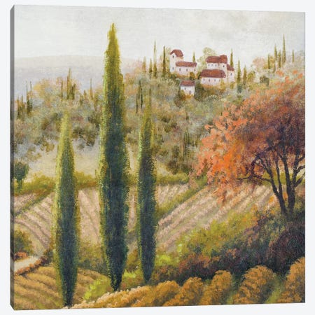 Tuscany Vineyard II Canvas Print #MMC148} by Michael Marcon Canvas Print