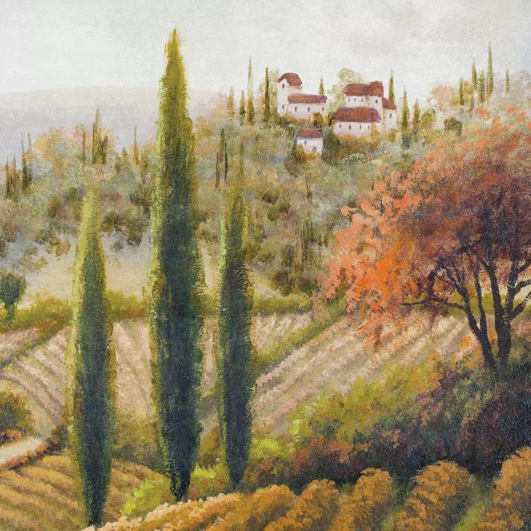 Tuscany Vineyard II