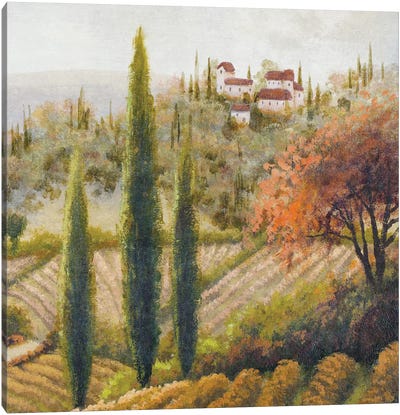 Tuscany Vineyard II Canvas Art Print - Cypress Tree Art