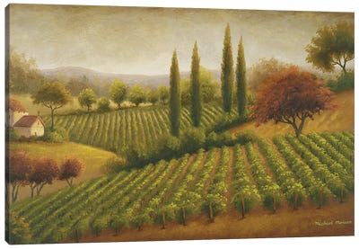 Vineyard In The Sun I Canvas Art Print - Vineyard Art