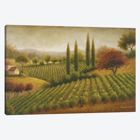 Vineyard In The Sun I Canvas Print #MMC149} by Michael Marcon Canvas Print
