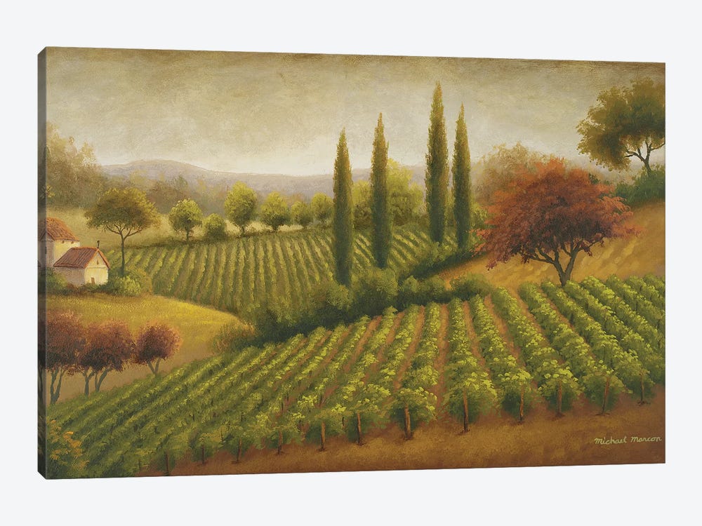 Vineyard In The Sun I by Michael Marcon 1-piece Canvas Print