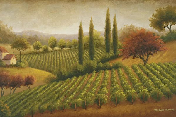 European Décor: Vineyard In The Sun I by Michael Marcon