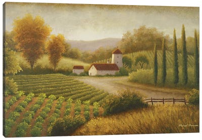 Vineyard In The Sun II Canvas Art Print - Tuscany Art