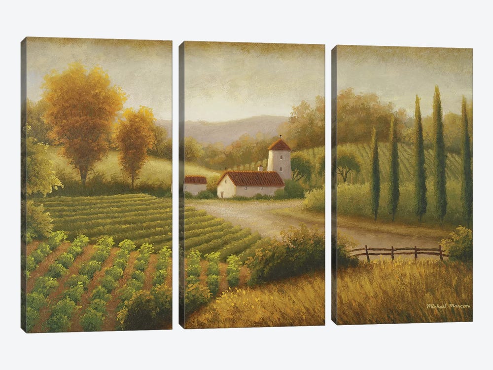 Vineyard In The Sun II by Michael Marcon 3-piece Canvas Print