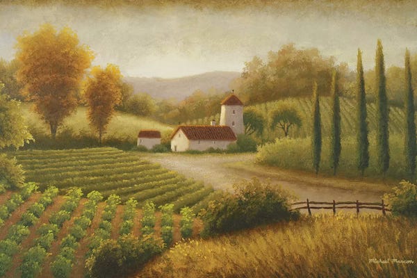 Country: Vineyard In The Sun II by Michael Marcon