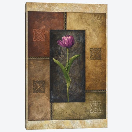 Violet Tulip Canvas Print #MMC156} by Michael Marcon Canvas Print