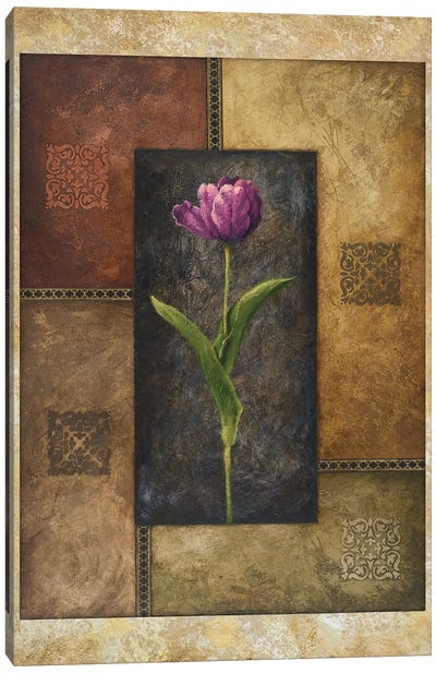 Violet Tulip Canvas Art Print - Michael Marcon
