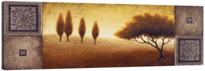 Warm Horizon I Canvas Art Print - Cypress Tree Art