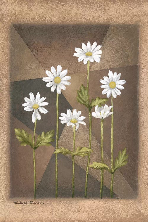 White Daisies by Michael Marcon wall art