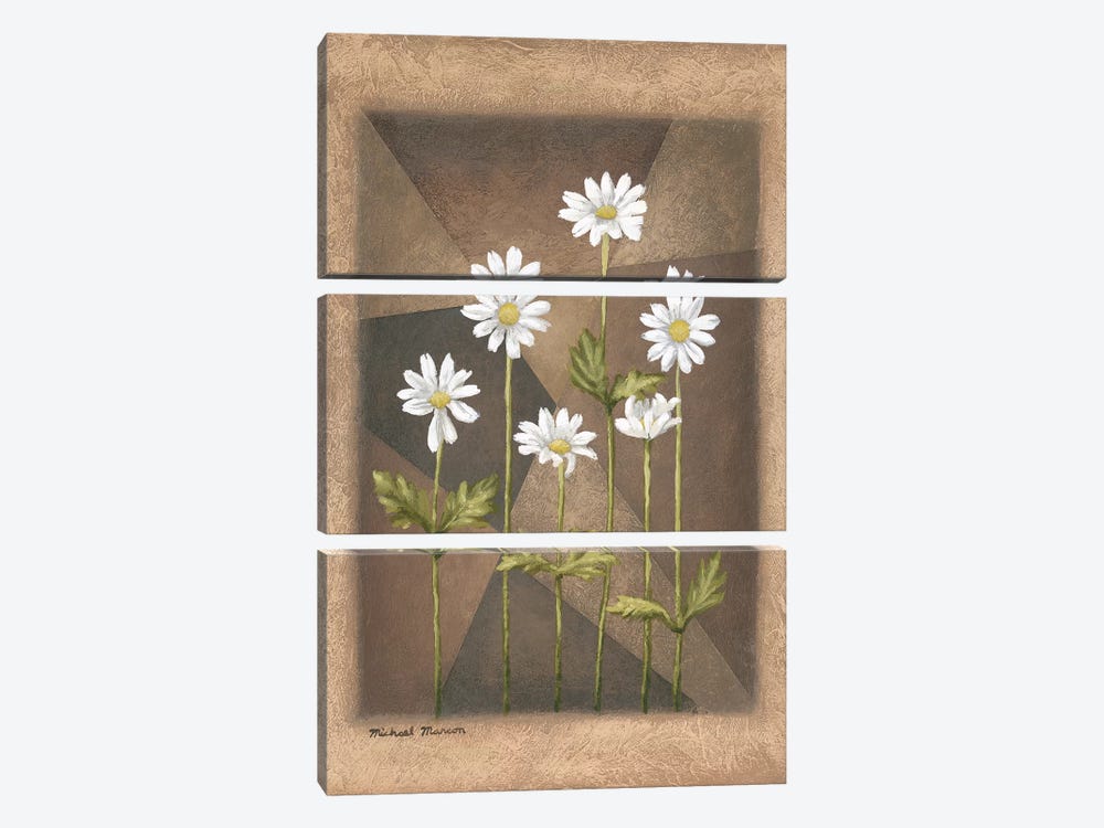 White Daisies by Michael Marcon 3-piece Canvas Print