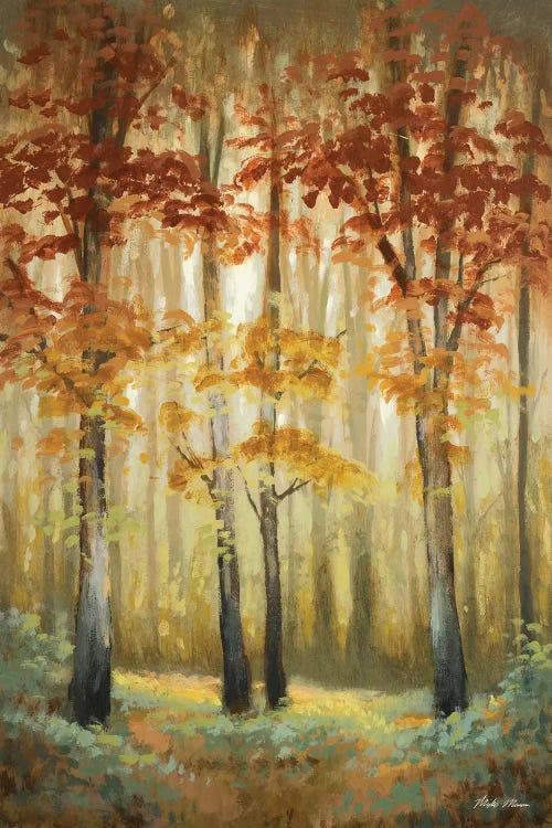 Woodland Glow I by Michael Marcon wall art