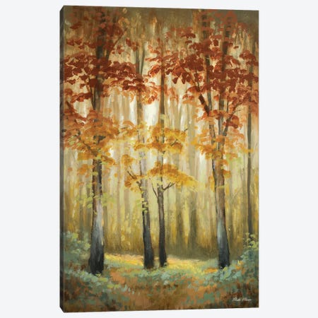 Woodland Glow I Canvas Print #MMC163} by Michael Marcon Canvas Print