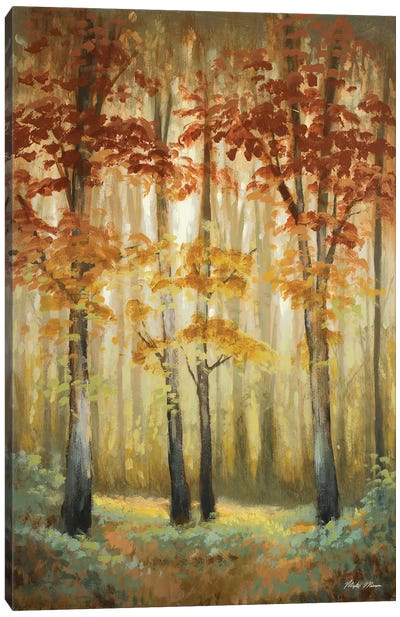 Woodland Glow I Canvas Art Print
