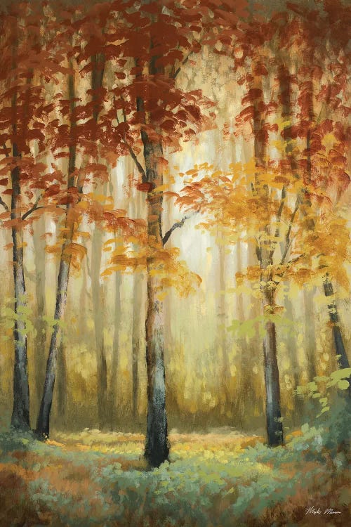 Woodland Glow II by Michael Marcon wall art