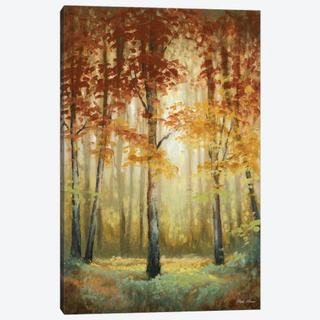 Woodland Glow II Canvas Print #MMC164} by Michael Marcon Canvas Art