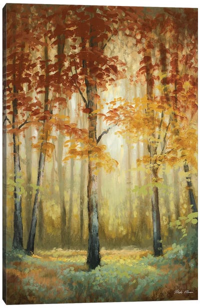 Woodland Glow II Canvas Art Print - Michael Marcon