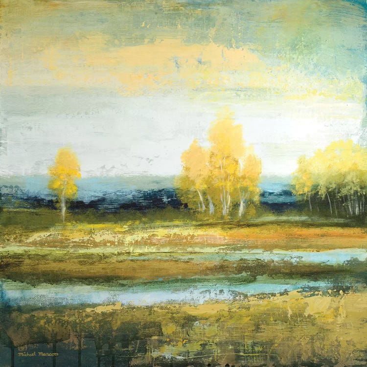 Marsh Lands I by Michael Marcon wall art