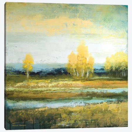 Marsh Lands I Canvas Print #MMC168} by Michael Marcon Art Print