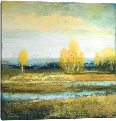 Marsh Lands I Canvas Art Print - Michael Marcon