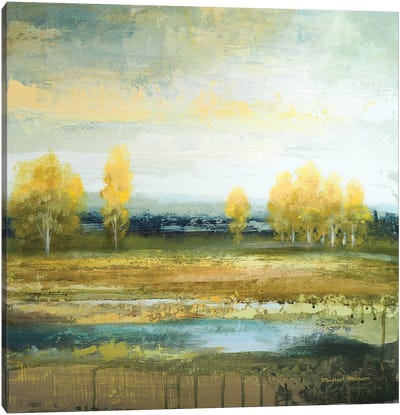 Marsh Lands II Canvas Art Print - Michael Marcon