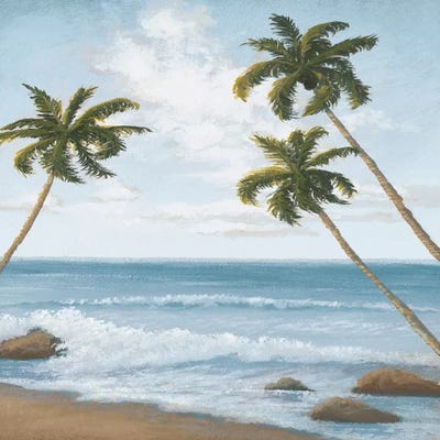 Atlantic II by Michael Marcon canvas print