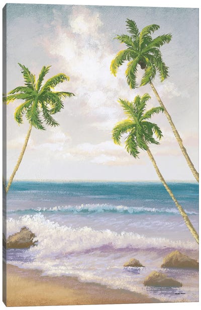 Atlantic Seaside II Canvas Art Print - Michael Marcon