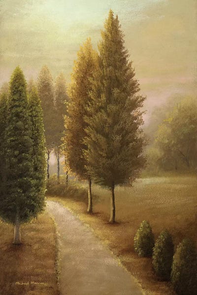 Cypress Trees: Auburn I by Michael Marcon