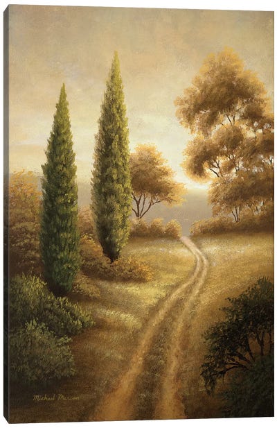 Auburn II Canvas Art Print - Cypress Tree Art